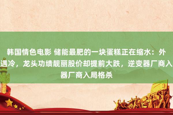 韩国情色电影 储能最肥的一块蛋糕正在缩水：外洋户储遇冷，龙头功绩靓丽股价却提前大跌，逆变器厂商入局格杀