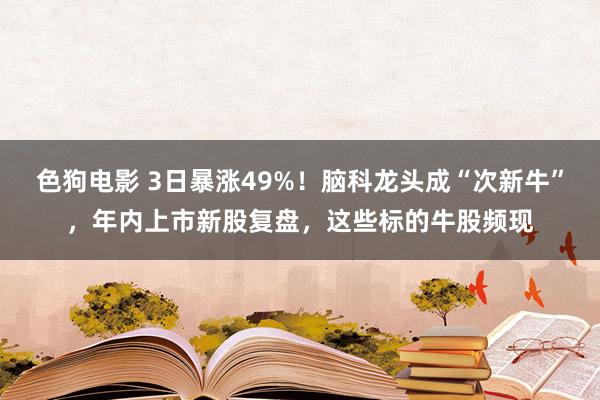 色狗电影 3日暴涨49%！脑科龙头成“次新牛”，年内上市新股复盘，这些标的牛股频现