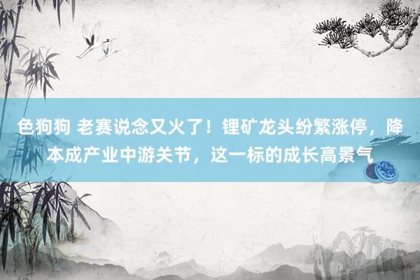 色狗狗 老赛说念又火了！锂矿龙头纷繁涨停，降本成产业中游关节，这一标的成长高景气