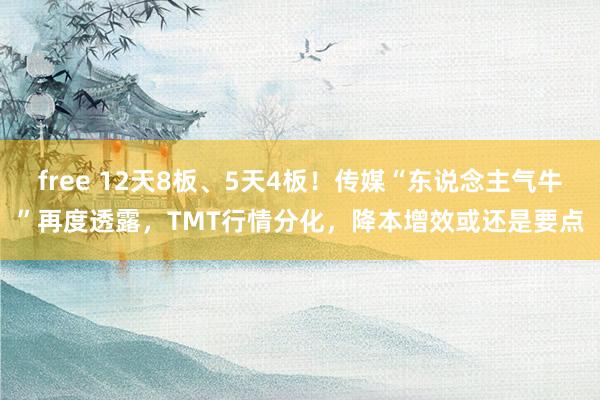 free 12天8板、5天4板！传媒“东说念主气牛”再度透露，TMT行情分化，降本增效或还是要点