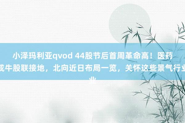 小泽玛利亚qvod 44股节后首周革命高！医药成牛股联接地，北向近日布局一览，关怀这些景气行业