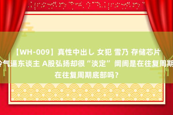 【WH-009】真性中出し 女犯 雪乃 存储芯片一季报冷气逼东谈主 A股弘扬却很“淡定” 阛阓是在往复周期底部吗？