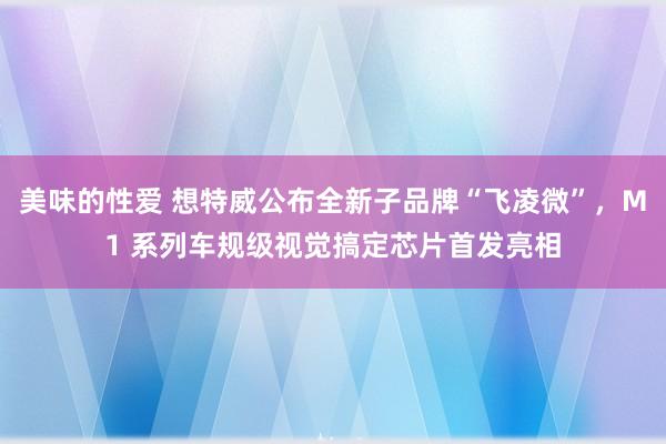 美味的性爱 想特威公布全新子品牌“飞凌微”，M1 系列车规级视觉搞定芯片首发亮相