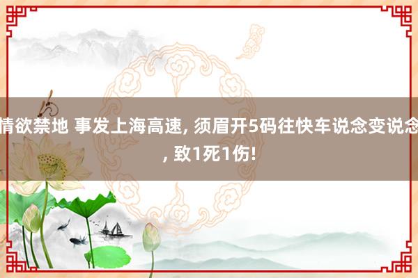 情欲禁地 事发上海高速, 须眉开5码往快车说念变说念, 致1死1伤!