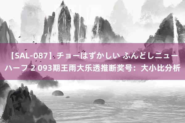 【SAL-087】チョーはずかしい ふんどしニューハーフ 2 093期王雨大乐透推断奖号：大小比分析