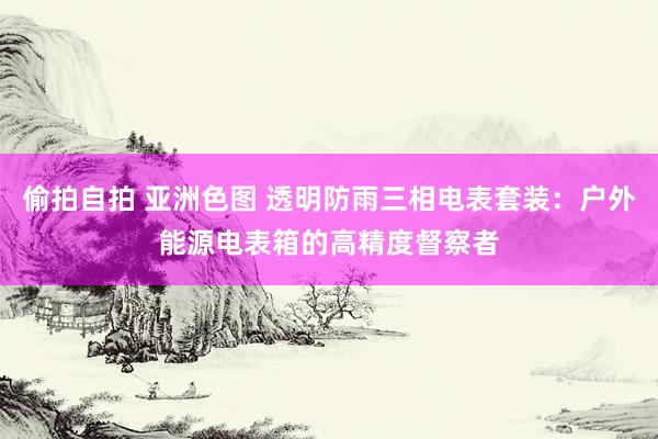 偷拍自拍 亚洲色图 透明防雨三相电表套装：户外能源电表箱的高精度督察者