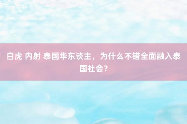 白虎 内射 泰国华东谈主，为什么不错全面融入泰国社会？