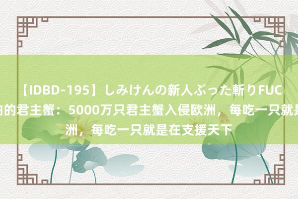 【IDBD-195】しみけんの新人ぶった斬りFUCK 6本番 可怕的君主蟹：5000万只君主蟹入侵欧洲，每吃一只就是在支援天下