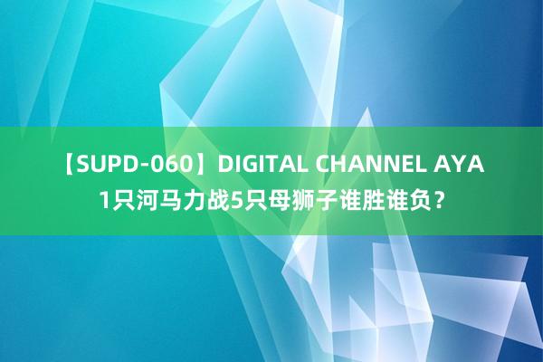 【SUPD-060】DIGITAL CHANNEL AYA 1只河马力战5只母狮子谁胜谁负？