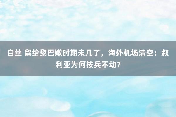 白丝 留给黎巴嫩时期未几了，海外机场清空：叙利亚为何按兵不动？