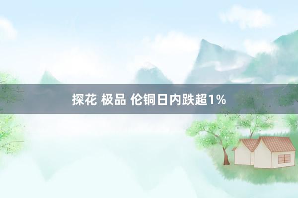 探花 极品 伦铜日内跌超1%