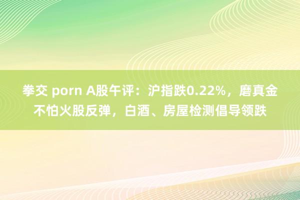 拳交 porn A股午评：沪指跌0.22%，磨真金不怕火股反弹，白酒、房屋检测倡导领跌