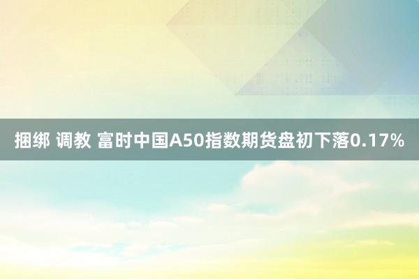 捆绑 调教 富时中国A50指数期货盘初下落0.17%