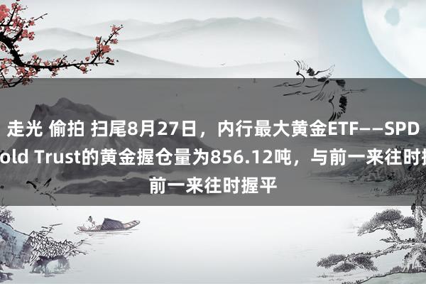 走光 偷拍 扫尾8月27日，内行最大黄金ETF——SPDR Gold Trust的黄金握仓量为856.12吨，与前一来往时握平