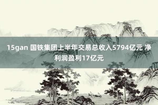 15gan 国铁集团上半年交易总收入5794亿元 净利润盈利17亿元