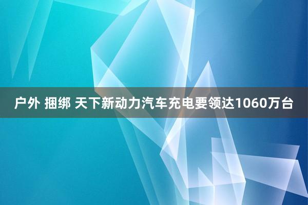 户外 捆绑 天下新动力汽车充电要领达1060万台