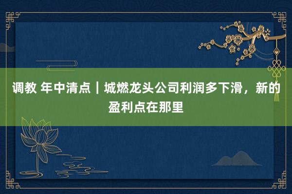 调教 年中清点｜城燃龙头公司利润多下滑，新的盈利点在那里