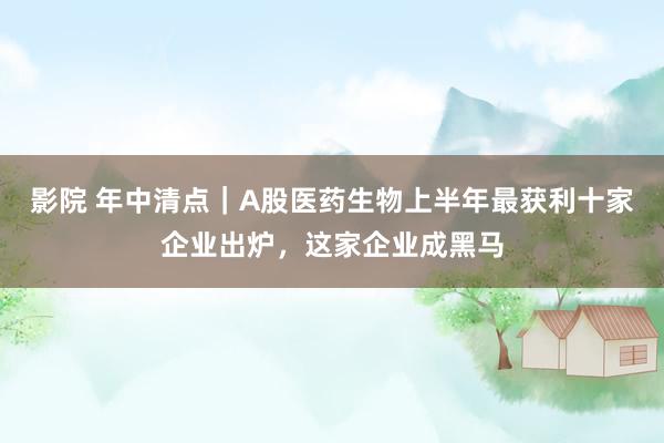 影院 年中清点｜A股医药生物上半年最获利十家企业出炉，这家企业成黑马