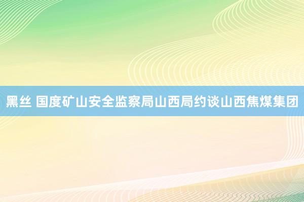 黑丝 国度矿山安全监察局山西局约谈山西焦煤集团