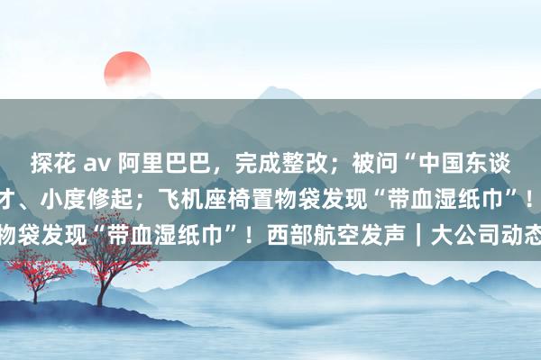 探花 av 阿里巴巴，完成整改；被问“中国东谈主讲授吗”翻车了！小天才、小度修起；飞机座椅置物袋发现“带血湿纸巾”！西部航空发声｜大公司动态