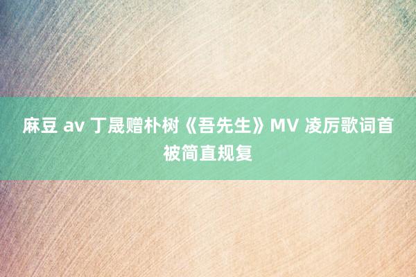 麻豆 av 丁晟赠朴树《吾先生》MV 凌厉歌词首被简直规复