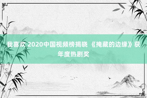 我喜欢 2020中国视频榜揭晓 《掩藏的边缘》获年度热剧奖