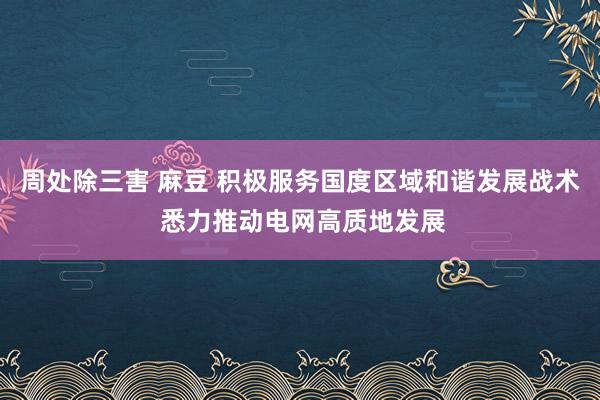 周处除三害 麻豆 积极服务国度区域和谐发展战术 悉力推动电网高质地发展